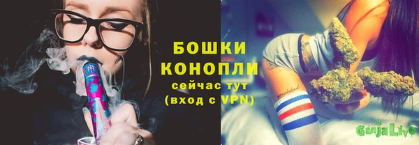 гидропоника Белоозёрский
