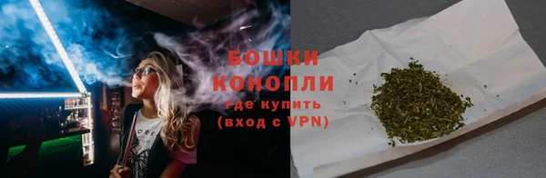 твердый Богданович