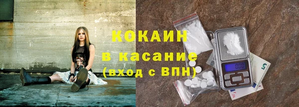 твердый Богданович