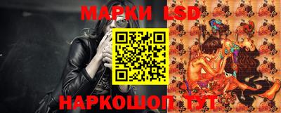 стафф Кандалакша
