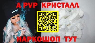 спиды Кингисепп
