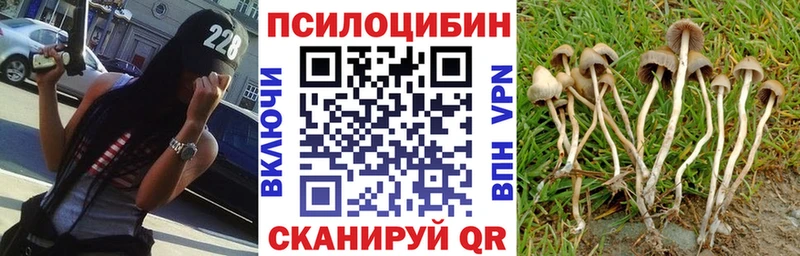 Галлюциногенные грибы Magic Shrooms Кстово