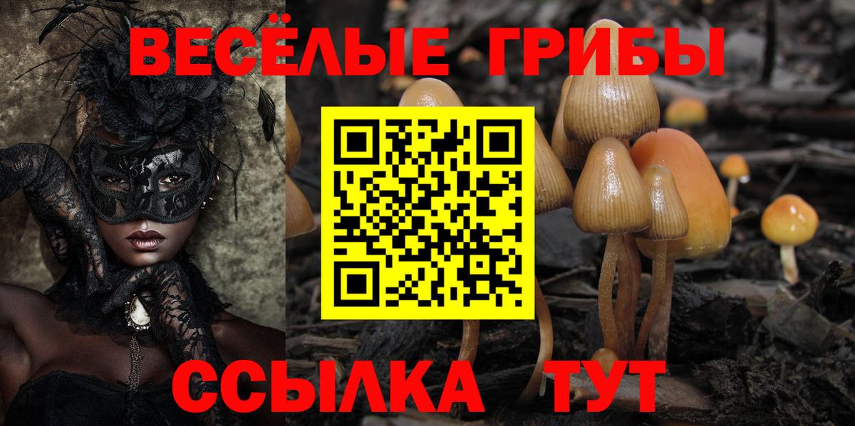 Кстово  где можно купить наркотик  Вход с VPN  Галлюциногенные грибы Magic Shrooms 