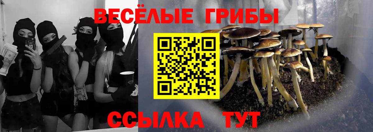 Галлюциногенные грибы мухоморы Кстово